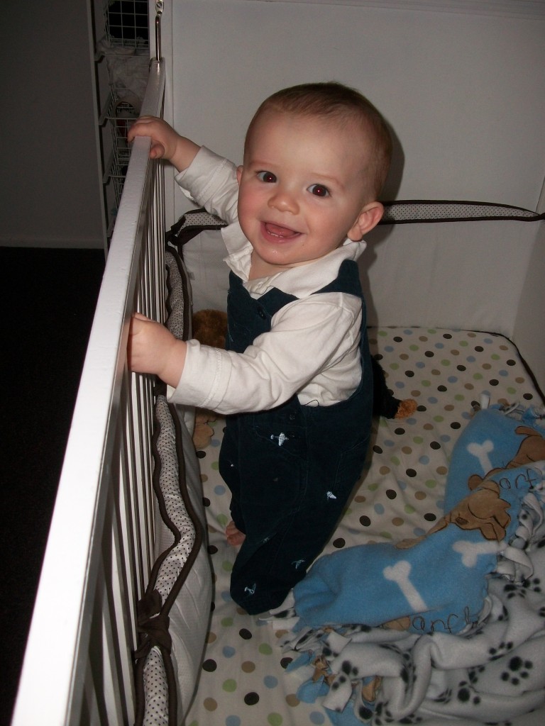 picture-003